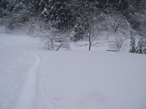 IMGP7072-2.jpg