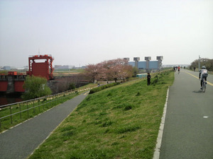 arakawa0904.JPG