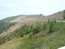 DSC01303.JPG