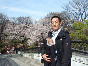 sakura09.JPG