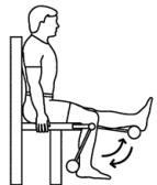 seated-leg-curl.jpg