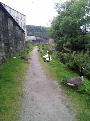 towpath4.JPG